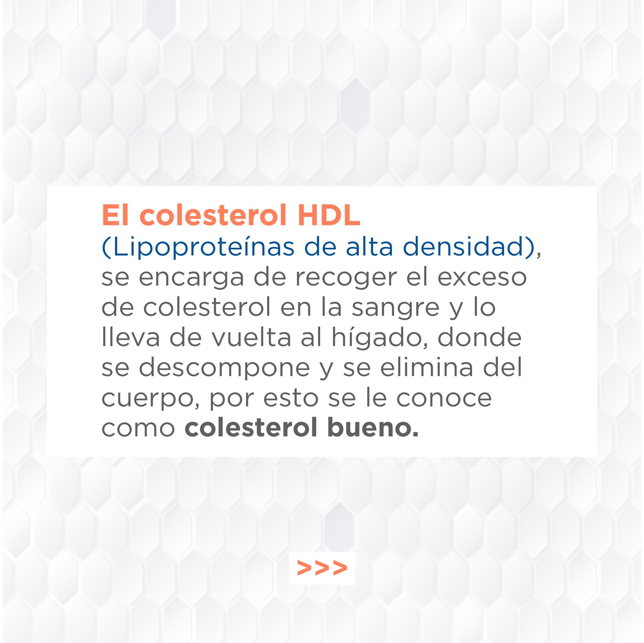 Slide19